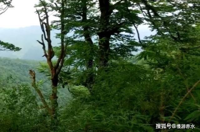专业知识星球平台平时喜欢宅家看剧,投影仪和电视哪个性价比更好?有哪些平价推荐?,高效学习共享交流